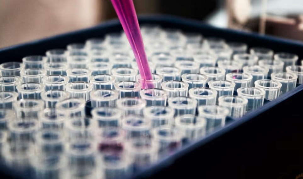 imatge portada noticia eciu research labs